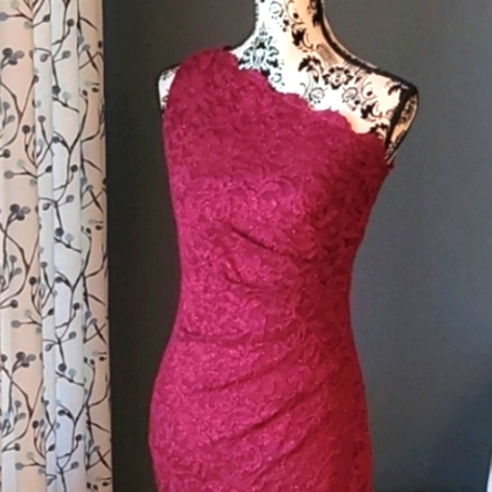Decode 1.8 lace gown